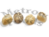 ASSORTED MINI CLASSIC 35g x 100