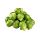 BABY BRUSSEL SPROUTS x 1 Kg